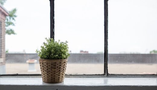 今日のいいこと　2022/07/19～始まりの雨