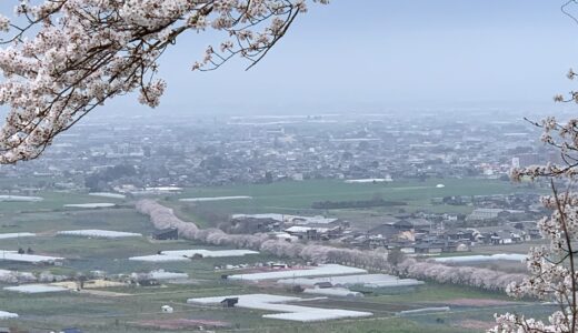 今日のいいこと　2021/03/21～うきは