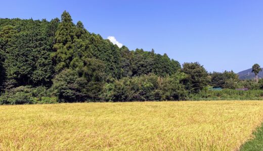 今日のいいこと　2021/03/26～忘れた頃にやってきた