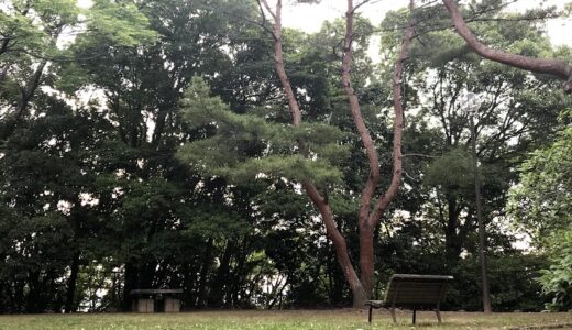 今日のいいこと　2021/06/06～緑地公園