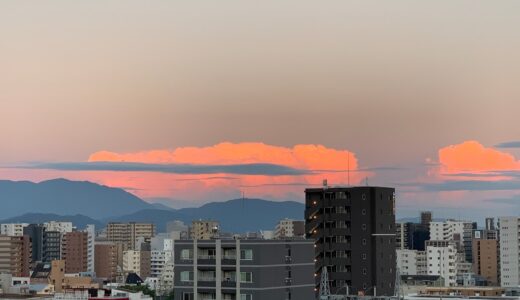 今日のいいこと　2021/08/07～切り取り