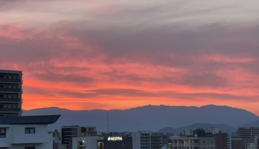 今日のいいこと　2023/04/04～春の朝