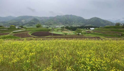 今日のいいこと　2023/05/30～迎える側