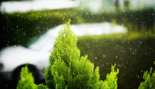 今日のいいこと　2023/09/27～やさしい雨