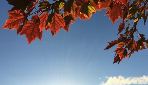 今日のいいこと　2023/11/05～スポーツの秋の一日