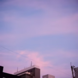 今日のいいこと　2025/08/11～ご無沙汰