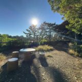 今日のいいこと　2025/11/04～秋の散策