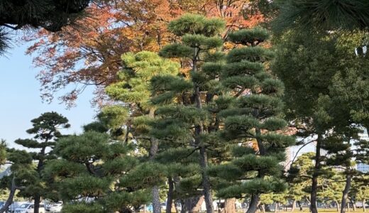 今日のいいこと　2025/11/18～こころの対話