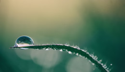 今日のいいこと　2025/11/11～年末調整