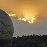 今日のいいこと　2025/12/17～期待の…