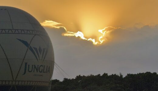 今日のいいこと　2025/12/17～期待の…