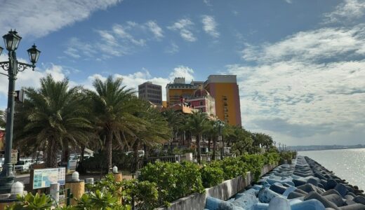 今日のいいこと　2025/12/18～冬の沖縄