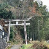 今日のいいこと　2025/12/28～楽しい休暇の幕開け