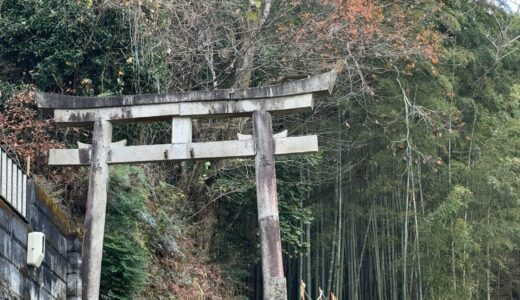 今日のいいこと　2025/12/28～楽しい休暇の幕開け