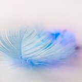 今日のいいこと　2025/12/21～終わりよければ