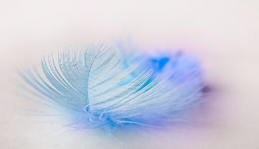 今日のいいこと　2025/12/21～終わりよければ