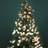 今日のいいこと　2025/12/25～静かなクリスマスの余白