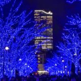 今日のいいこと　2025/12/19～夏から冬へ旅の移ろい