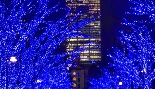 今日のいいこと　2025/12/19～夏から冬へ旅の移ろい