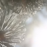 今日のいいこと　2025/12/27～憂いなし