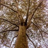 今日のいいこと　2025/12/10～持ちつ持たれつ