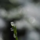 今日のいいこと　2026/01/08～珍しい朝