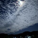 今日のいいこと　2026/01/01～A Happy New year 2026!