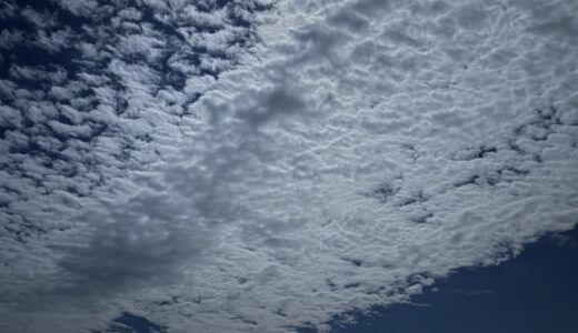 今日のいいこと　2026/01/01～A Happy New year 2026!