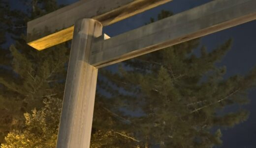 今日のいいこと　2026/01/02～お年玉