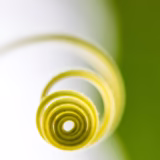 今日のいいこと　2026/01/22～まだまだ