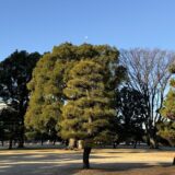 今日のいいこと　2026/01/09～音のない朝