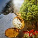 今日のいいこと　2026/01/25～自分の時間