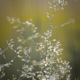 今日のいいこと　2026/02/12～軽い足取り