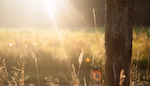 今日のいいこと　2026/02/04～厳しくて優しい