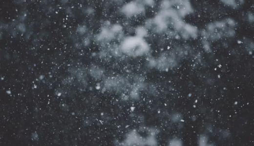 今日のいいこと　2026/02/07～期日前投票