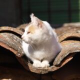 今日のいいこと　2026/03/05～何とかなるさ