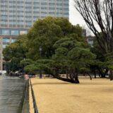 今日のいいこと　2026/03/04～朝雨