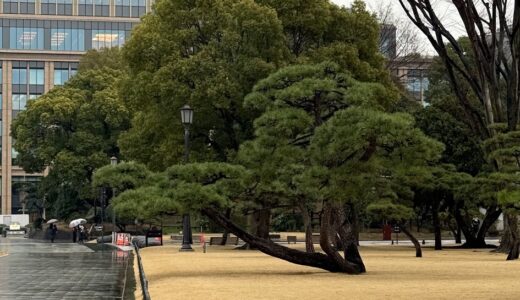 今日のいいこと　2026/03/04～朝雨