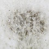 今日のいいこと　2026/04/29～夜カフェ