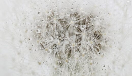 今日のいいこと　2026/04/29～夜カフェ