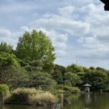 今日のいいこと　2026/04/26～リラックスした午後