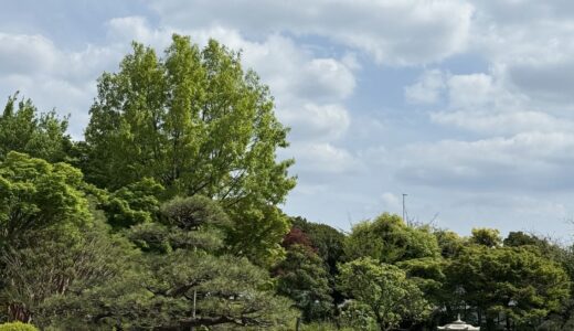 今日のいいこと　2026/04/26～リラックスした午後