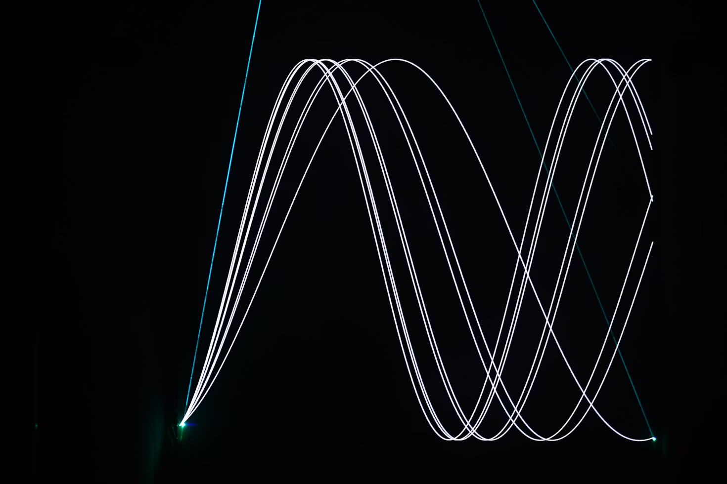 今日のいいこと　2026/04/16～新しい仲間