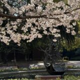 今日のいいこと　2026/04/15～自分次第