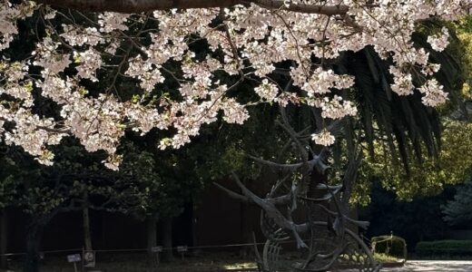 今日のいいこと　2026/04/15～自分次第