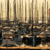 今日のいいこと　2026/04/19～アクティビティがいっぱい