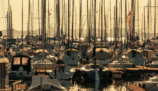 今日のいいこと　2026/04/19～アクティビティがいっぱい