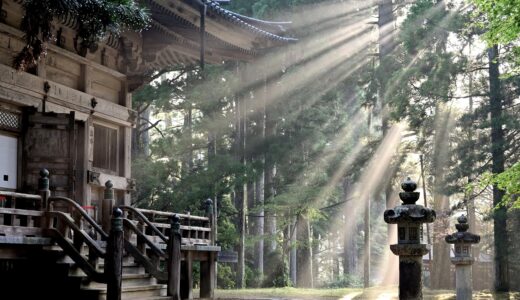 今日のいいこと　2026/08/18～奈良〜京都