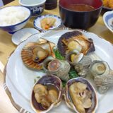 今日のいいこと　2026/08/12～のんびりした休暇の時間
