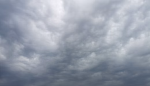 今日のいいこと　2026/08/04～うれしいひととき